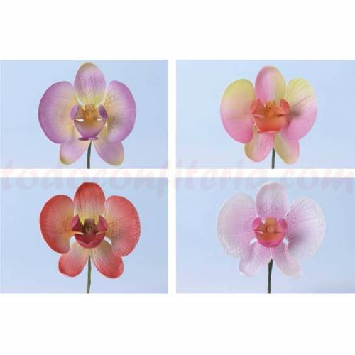 Orquídea Surtida Ramo Pastillaje 12 u.