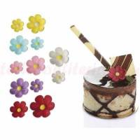 Anémona Pequeña Pastel...