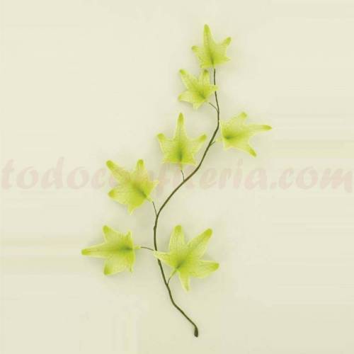 Hoja Hiedra Rama Pastillaje 24 u.