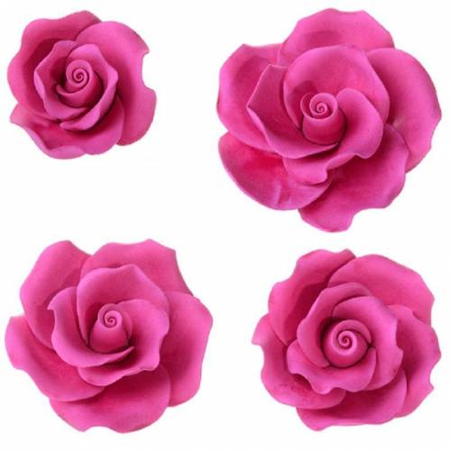 Rosa Kit Fucsia Azúcar 17 u.