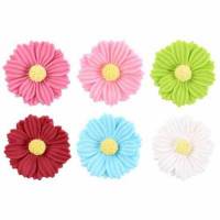 Aster Settembrini Azúcar...