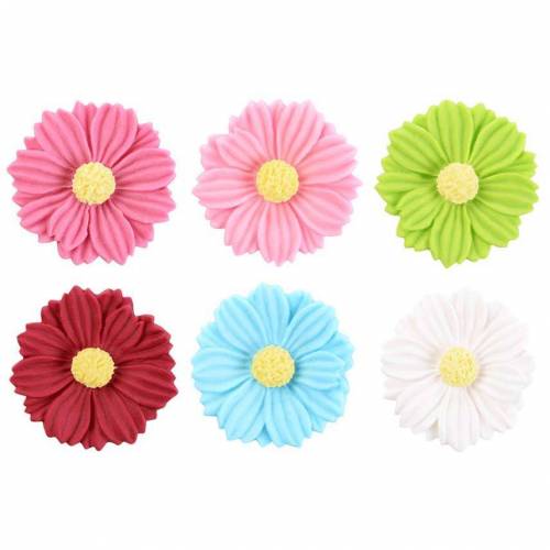 Aster Settembrini Azúcar 100 u.