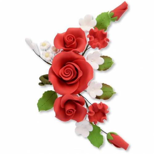 Rosa Flor Capullo Rojo Ramo...