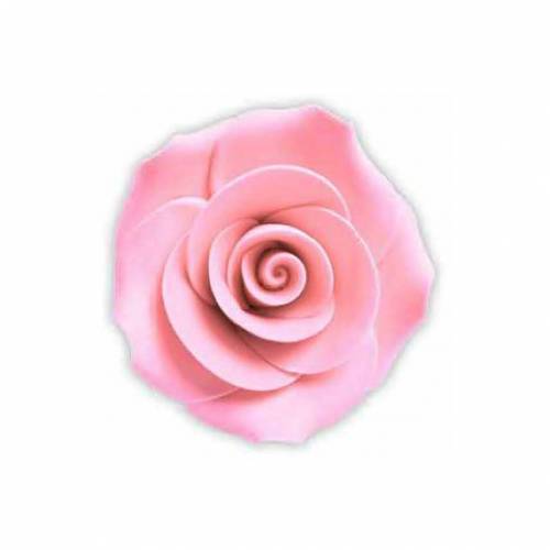 Rosa Grande Rosa Azúcar 18 u.