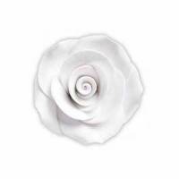 Rosa Grande Blanca Azúcar...