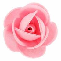 Rosa Flavia Primavera Rosa...