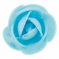 Rosa Flavia Primavera...