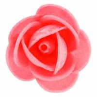 Rosa Flavia Primavera Roja...