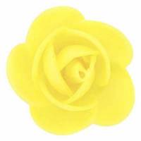 Rosa Flavia Primavera...