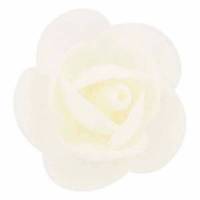 Rosa Flavia Primavera...