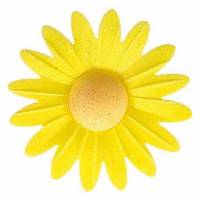 Margarita Amarillo Oblea...