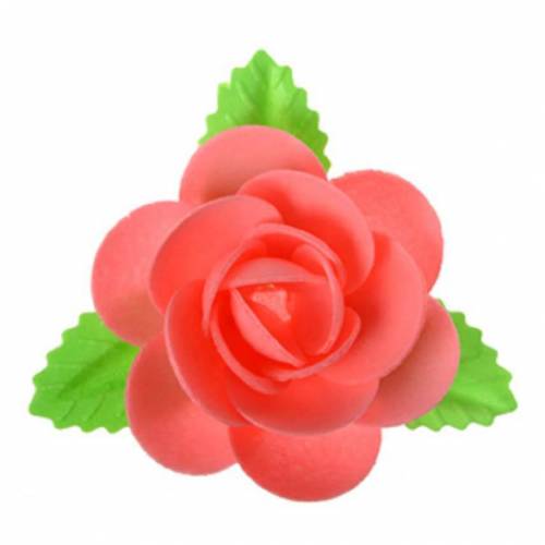 Magnolia Hoja Roja Oblea 40 u.