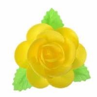 Magnolia Hoja Amarilla...