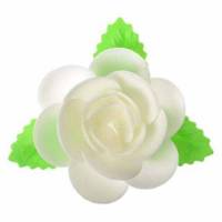 Magnolia Hoja Blanca Oblea...