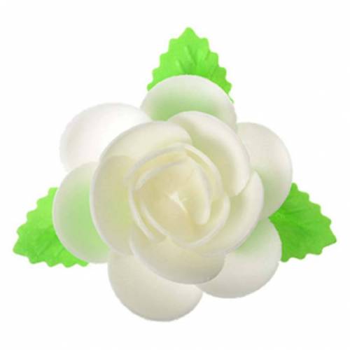 Magnolia Hoja Blanca Oblea 40 u.