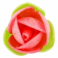 Rosa Emilia Primavera Roja...