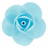 Rosa Linda Primavera...