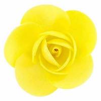 Rosa Linda Primavera...