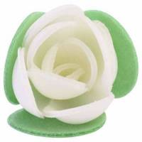 Rosa Hoja Redonda Blanca...