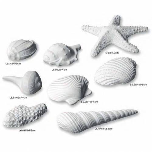 Concha Marina Azúcar 8 u.